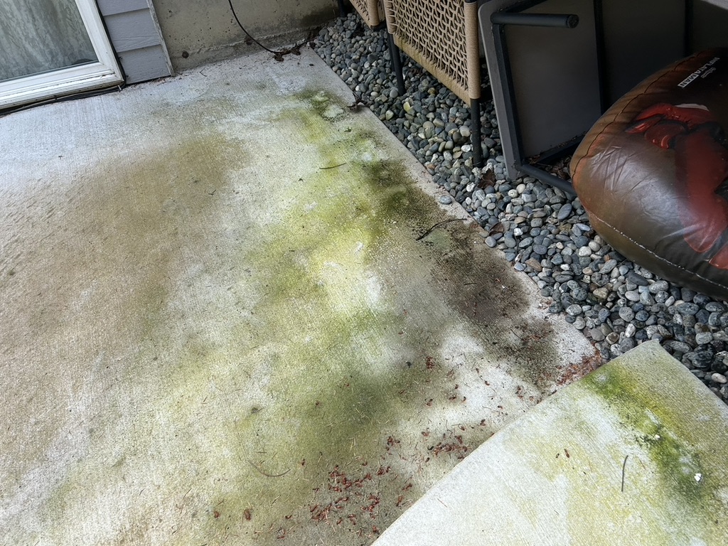 Driveway before pressure washing