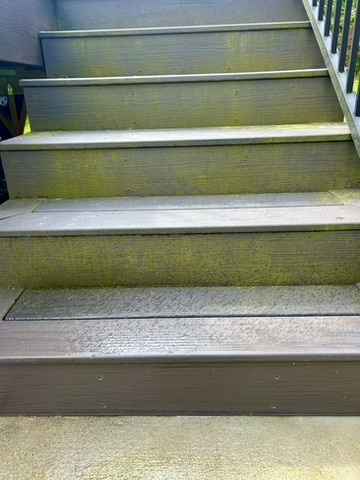 Walkway before pressure washing